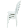 Chaise Plastique de Patio