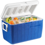 Cooler 48 qt.