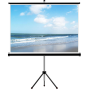 Projector Screen with Tripod