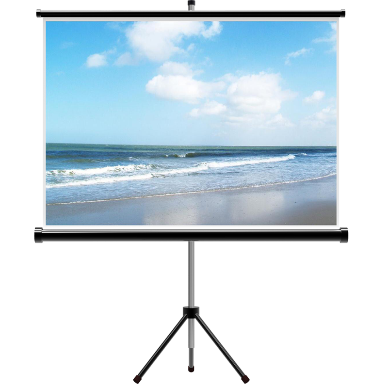 Projector Screen with Tripod