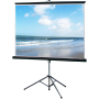 Projector Screen with Tripod