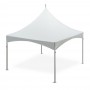 Tent - Peak Marquee 10’ x 10’