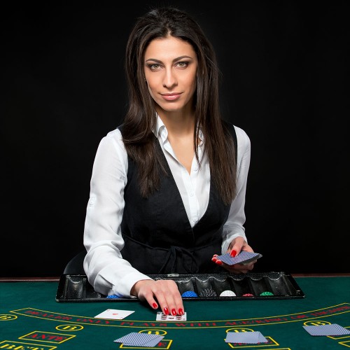 Casino Croupier - Card Dealer