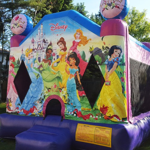 Disney Princess 2 Bouncer