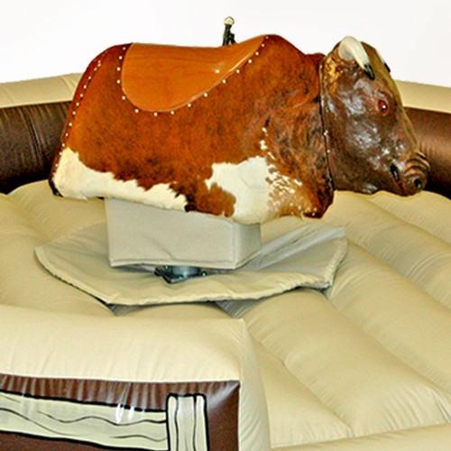 Mechanical Rodeo Bull