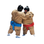 Aréna Sumo