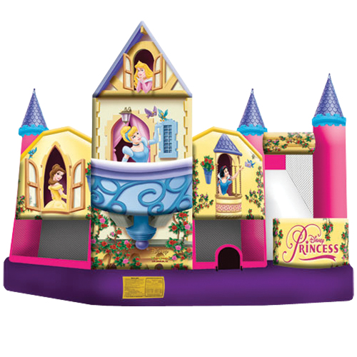 Disney Princesses 3D / 5-in-1 Combo